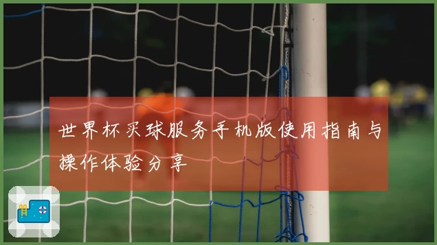 世界杯买球服务手机版使用指南与操作体验分享
