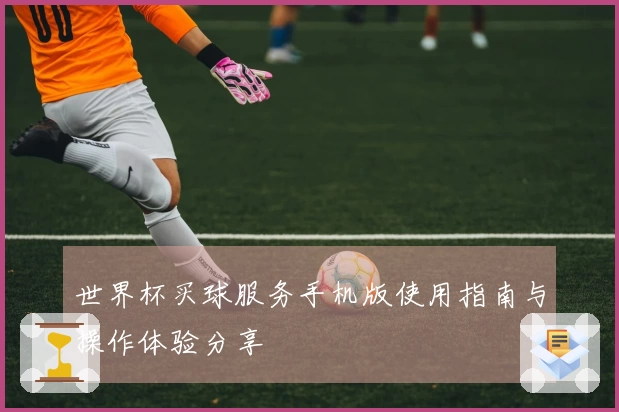 世界杯买球服务手机版使用指南与操作体验分享