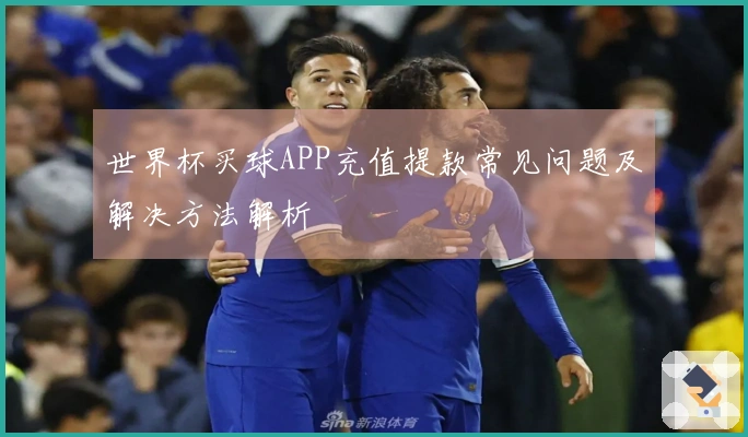 世界杯买球APP充值提款常见问题及解决方法解析