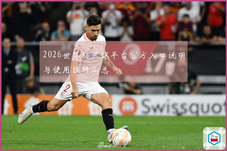 2026世界杯买球平台官方入口说明与使用技巧汇总