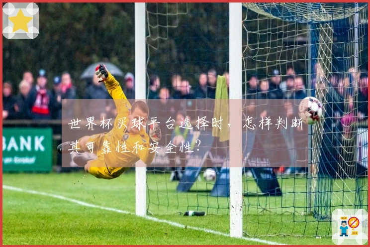 世界杯买球平台选择时，怎样判断其可靠性和安全性？