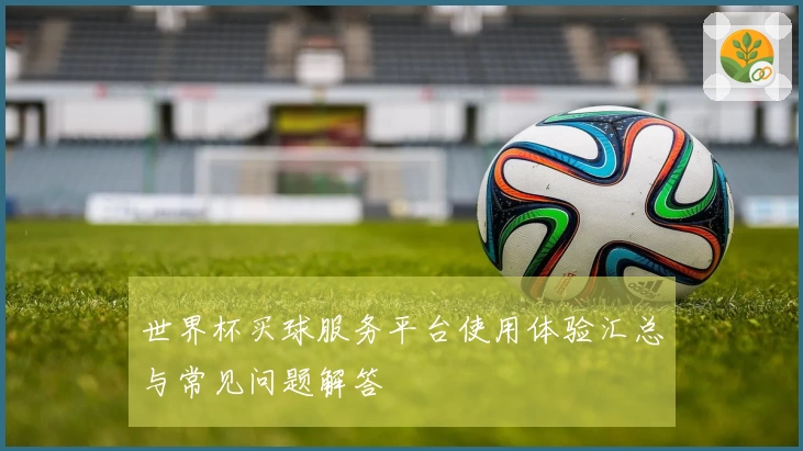 世界杯买球服务平台使用体验汇总与常见问题解答