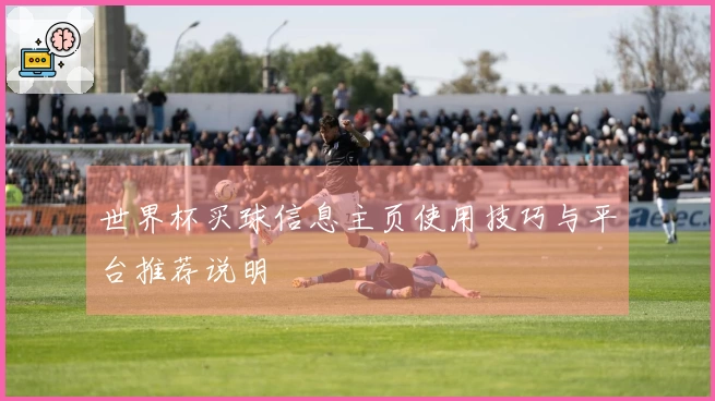 世界杯买球信息主页使用技巧与平台推荐说明