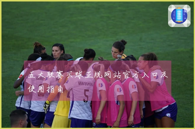 五大联赛买球正规网站官方入口及使用指南