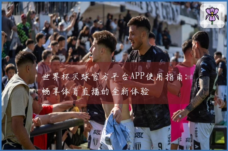 世界杯买球官方平台APP使用指南：畅享体育直播的全新体验