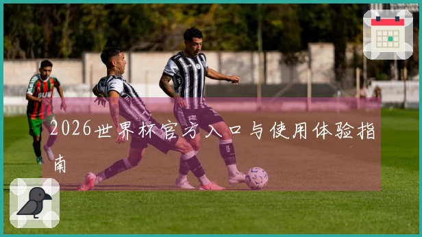 2026世界杯官方入口与使用体验指南