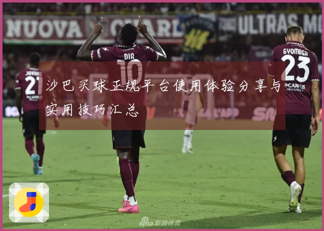 沙巴买球正规平台使用体验分享与实用技巧汇总