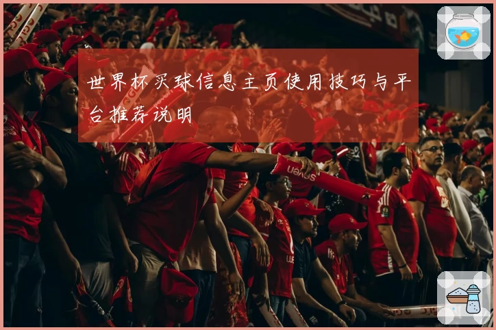 世界杯买球信息主页使用技巧与平台推荐说明
