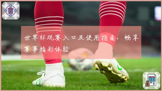 世界杯观赛入口及使用指南，畅享赛事精彩体验
