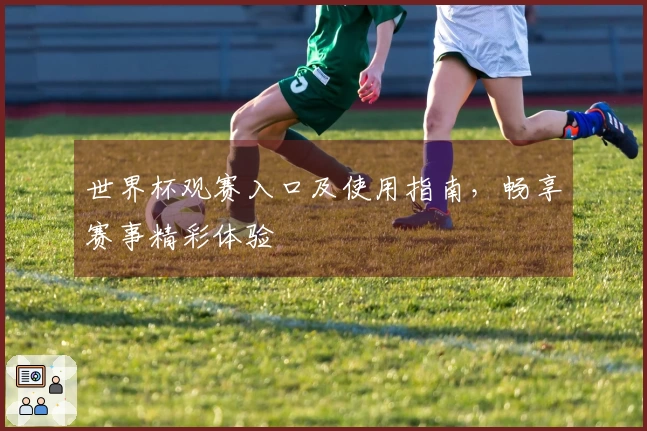 世界杯观赛入口及使用指南，畅享赛事精彩体验