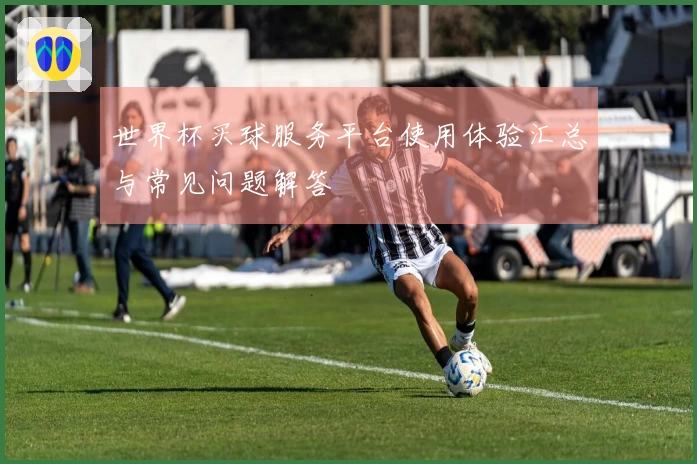 世界杯买球服务平台使用体验汇总与常见问题解答