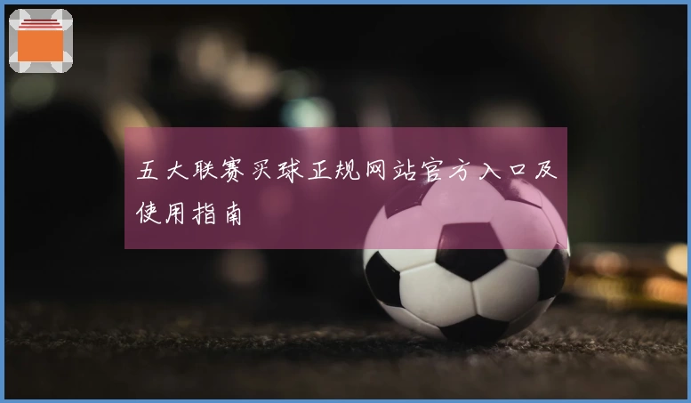五大联赛买球正规网站官方入口及使用指南