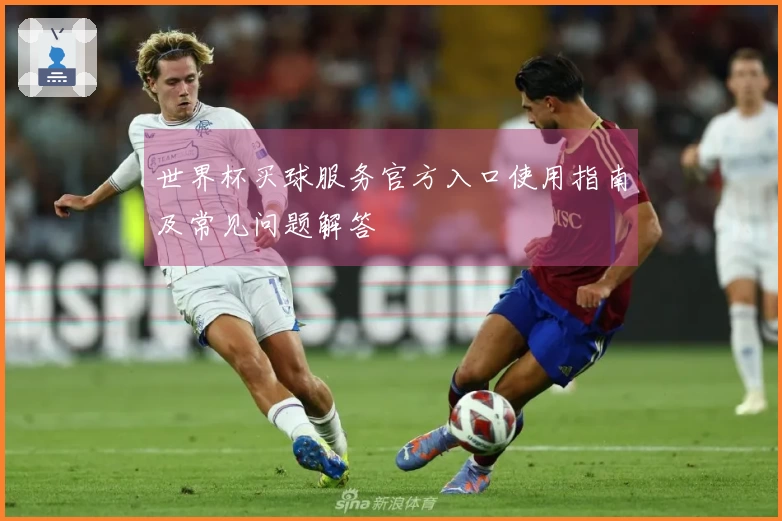 世界杯买球服务官方入口使用指南及常见问题解答