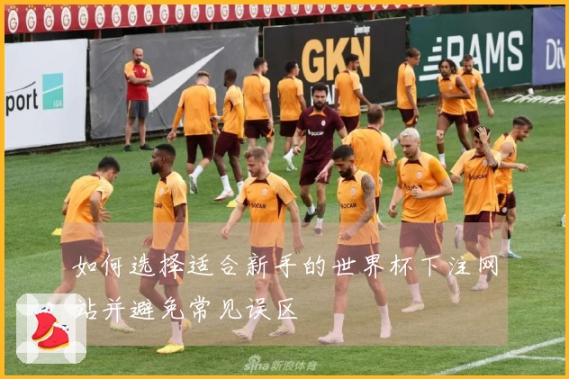 如何选择适合新手的世界杯下注网站并避免常见误区