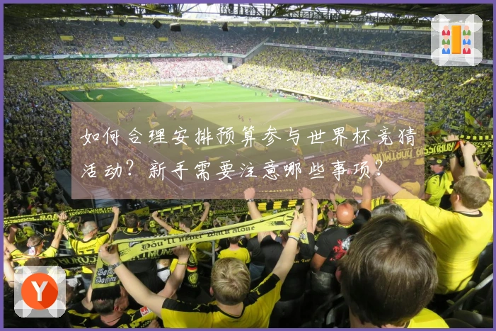 如何合理安排预算参与世界杯竞猜活动？新手需要注意哪些事项？