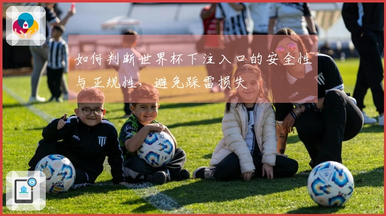 如何判断世界杯下注入口的安全性与正规性，避免踩雷损失