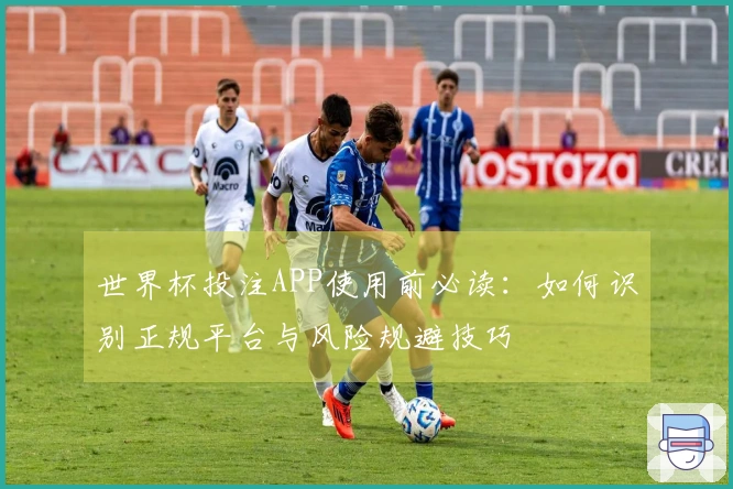 世界杯投注APP使用前必读：如何识别正规平台与风险规避技巧