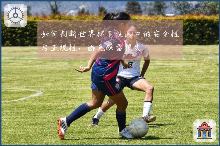 如何判断世界杯下注入口的安全性与正规性，避免踩雷损失