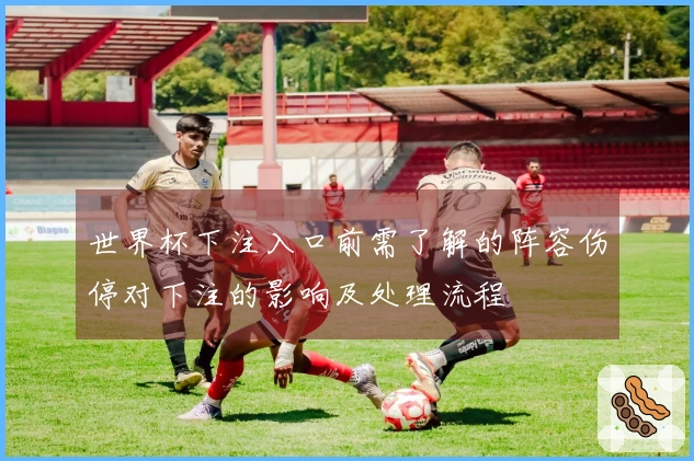 世界杯下注入口前需了解的阵容伤停对下注的影响及处理流程