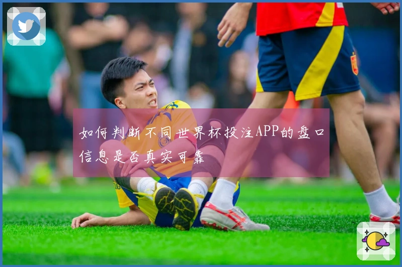如何判断不同世界杯投注APP的盘口信息是否真实可靠